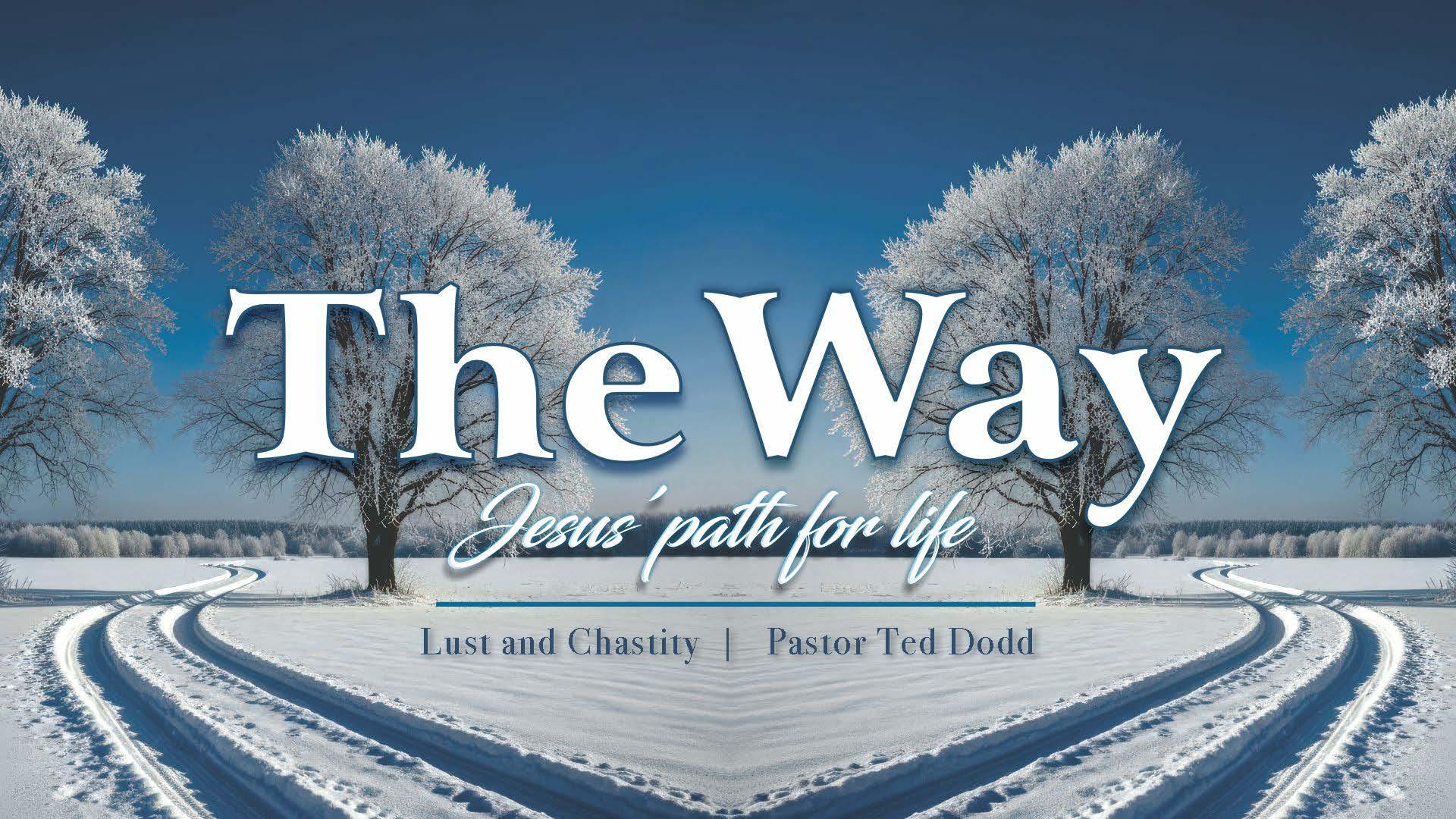 Thumbnail for Lust and Chastity