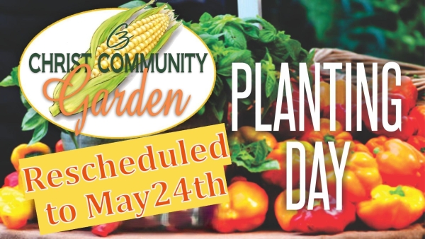 Photo for C3 Garden Planting Day 9:30am