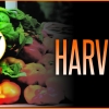 c3-garden-harvest-party-2pm-2026-10-11